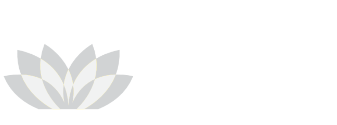 SAGLIK S.A.S.